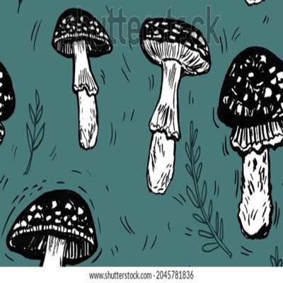 In the House.com - What's Up