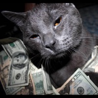 Back - Single - GORGS