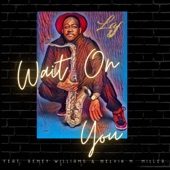 Wait On You (feat. Remey Williams & Melvin M. Miller) artwork