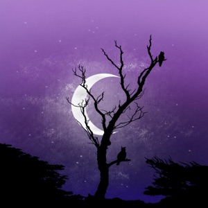 Before the Dawn