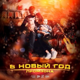 В новый год ПРОМЗОНА