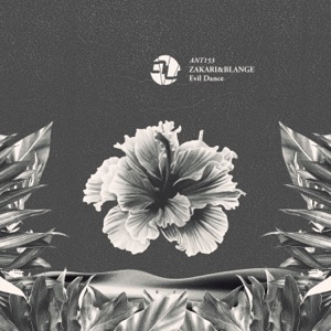 Evil Dance (Radio Edit) - Single