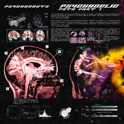 PSYCHONAUTS (feat. Arè$)