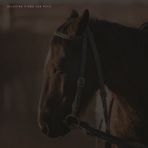 Music for Horses