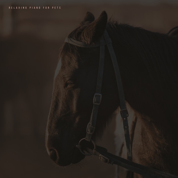 Music for Horses