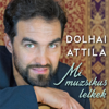 Mi muzsikus lelkek - Dolhai Attila