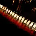 City Of Lights