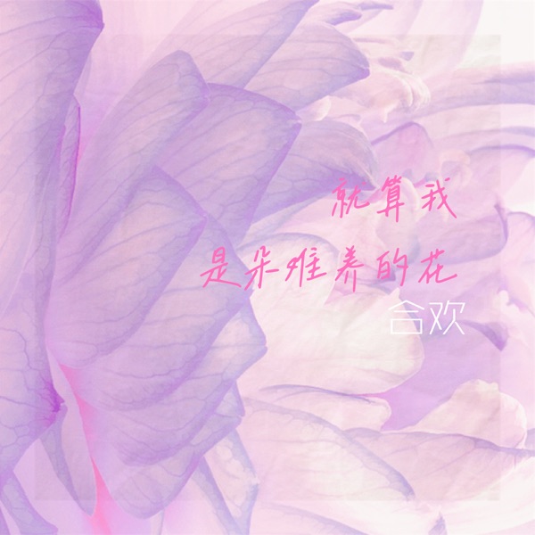 就算我是朵难养的花 - Single