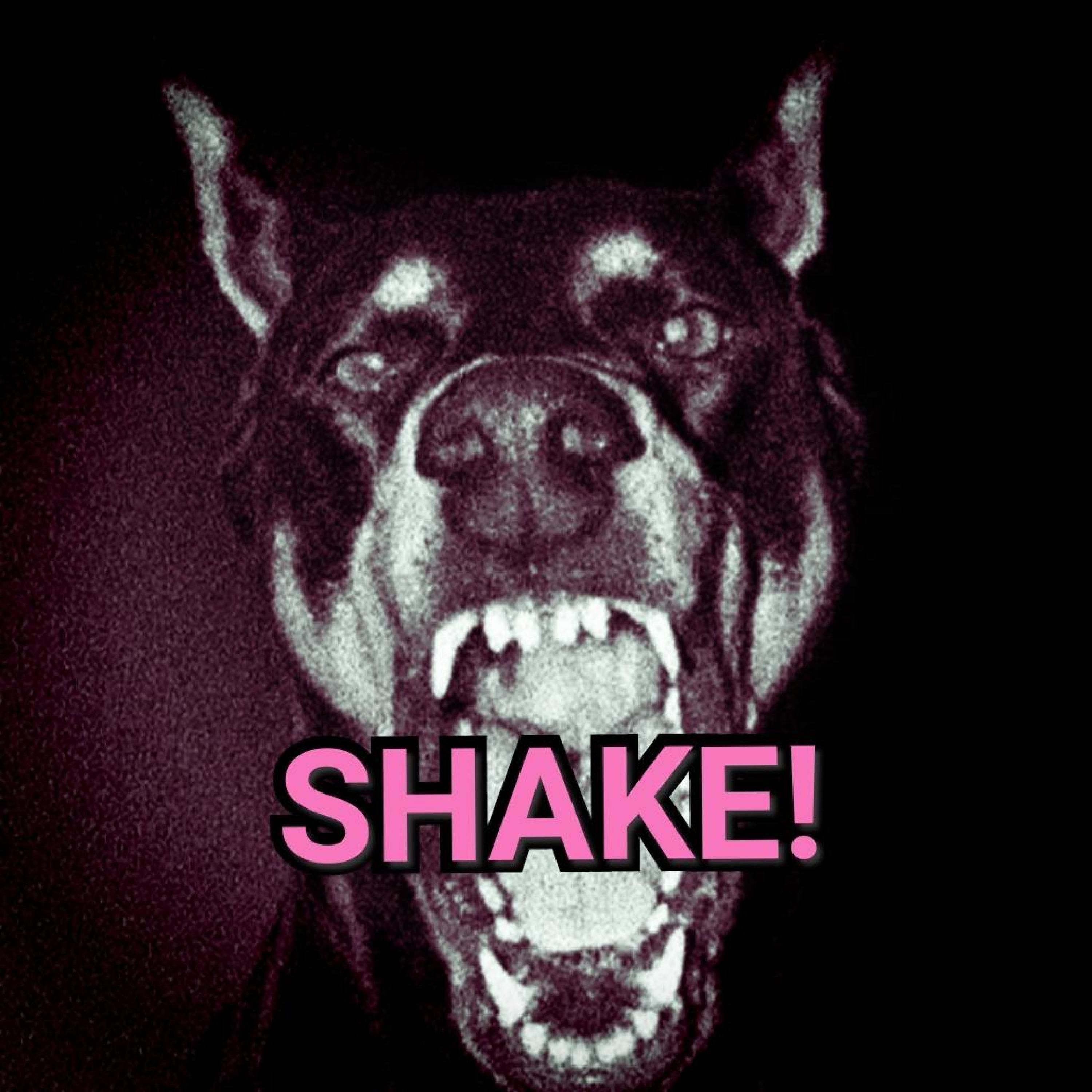 SHAKE! - Single