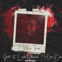 A million things (feat. ndlunkulu & Mc'Oreo Bam) [Radio Edit] [Radio Edit] - Single - Sbu82