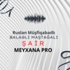 Şair (feat. Balaəli & Ruslan Müşfiqabadlı) - Single