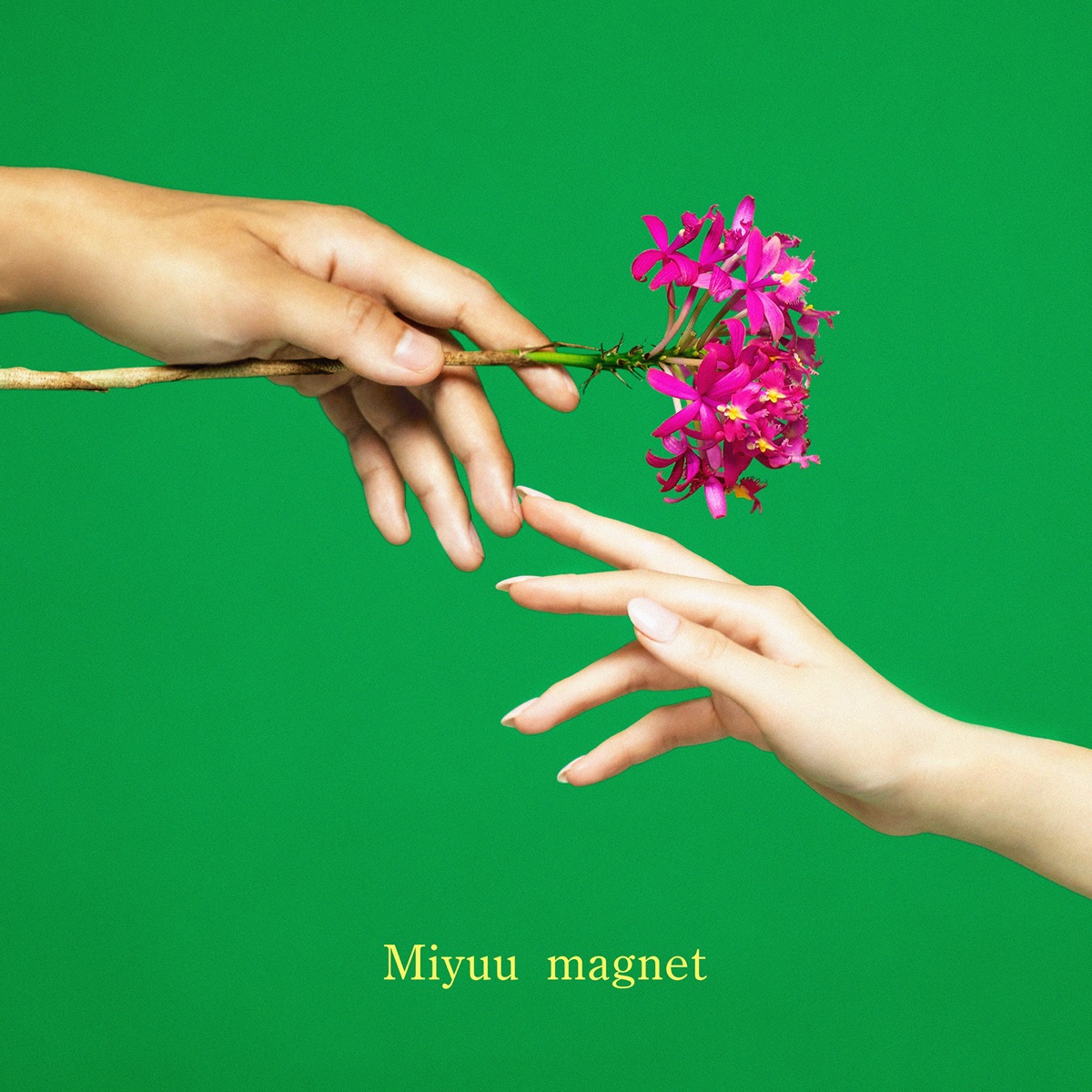 Miyuu / COME ONE , COME ALL (未開封品)