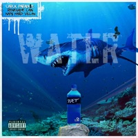 Water (feat. Renegade Cain & Napy Haird Villan) - Single - Chuck Paradi$e