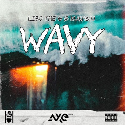 Wavy (feat. Kush300) - Single