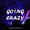 Going Crazy - Filip Marchidan lyrics