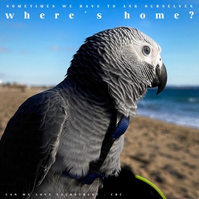 Where’s Home? - Single