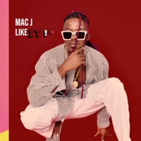 Like It (feat. Dash Instrumental) - Single - Mac J Macfam