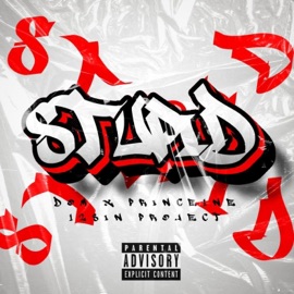 STUPID KA (feat. Prince1ne & DOM) 12SinProject