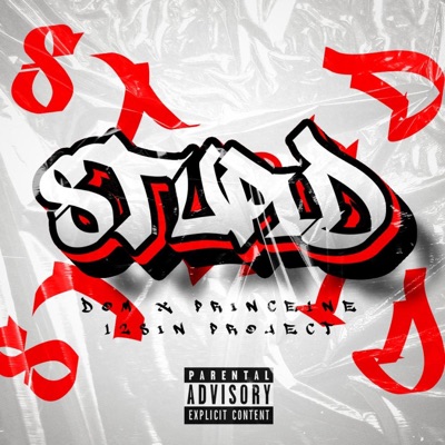 STUPID KA (feat. Prince1ne & DOM) - Single