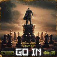 GO IN (feat. Rarri Rel & hollow) - Single - Various Layerz