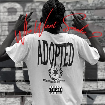 Who Want Smoke ? (Remix) [Remix] - Single