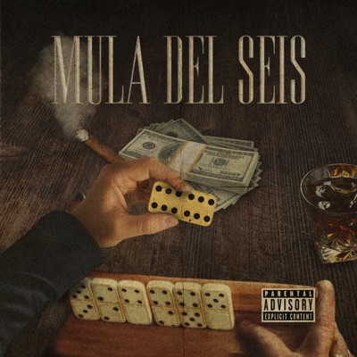 Mula del Seis