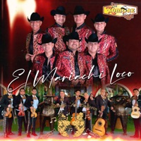 El Mariachi Loco (feat. Mariachi Los Galleros) - Single - Loz Kompaz Del Rafa