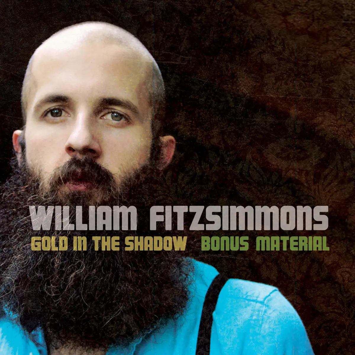 William Fitzsimmons - Gold In the Shadow (Bonus Material) (2011) [iTunes Plus AAC M4A]-新房子