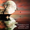 Tranquility Under the Moonlight: Soothing Piano Solos for Peaceful Nights