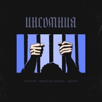 Инсомния - Single - СТРОГИЙ, Цветы не радуют & Некроз
