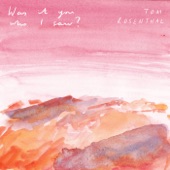 Tom Rosenthal - Was It You Who I Saw?