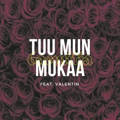 Tuu mun mukaa (feat. Valentin) - Single