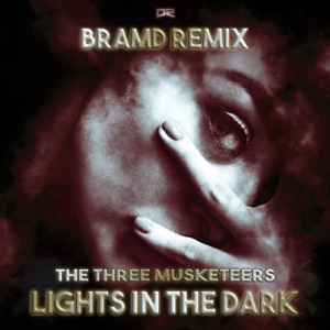 Lights in the Dark (BRAMD Remix) - Single