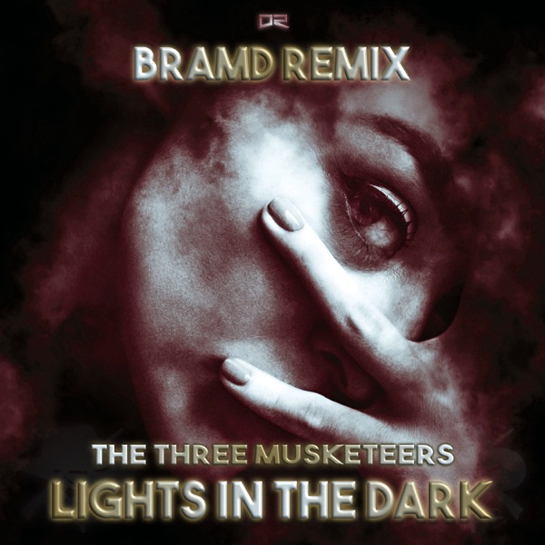 Lights in the Dark (BRAMD Remix) - Single