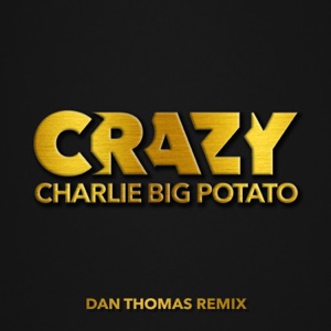 Crazy (Dan Thomas Remix) - Single