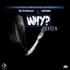 Why (Remix) - Single