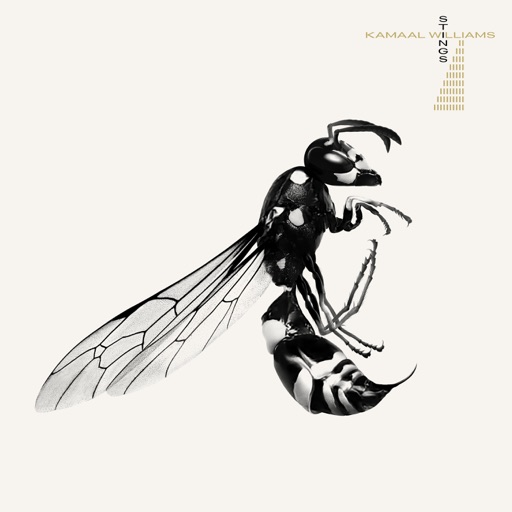 Album artwork