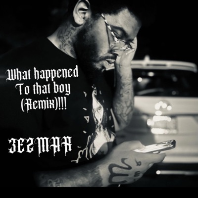 What Happened To That Boy (Remix) - Single