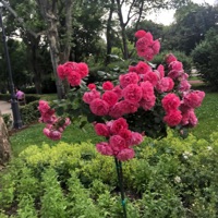 not going anywhere (feat. heartstopmiami & Tropes) - Single - flexer