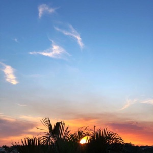 Bossa Nova and Others Brazilian Styles in Nature - EP