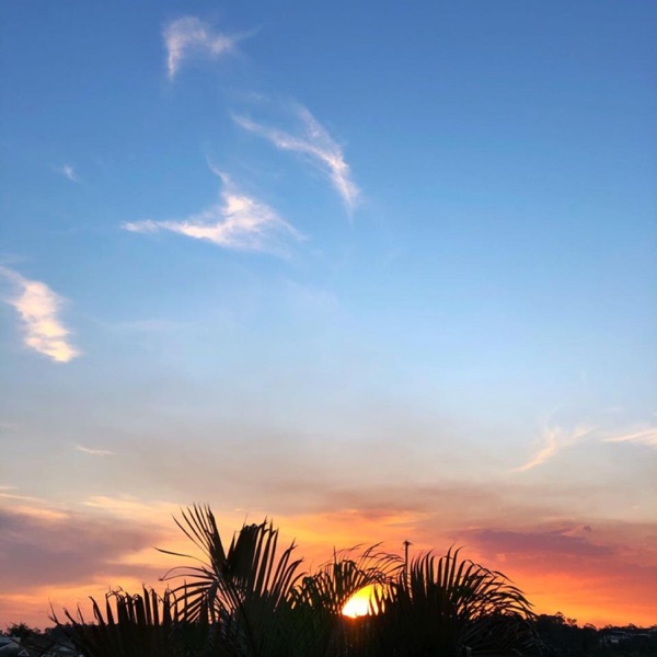 Bossa Nova and Others Brazilian Styles in Nature - EP