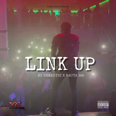 Link Up (feat. Bauta300) - Single