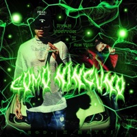 Como ninguno (feat. Ryan Vuitton) - Single - Rim.Thc