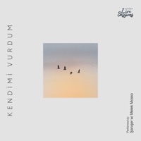 Kendimi Vurdum (Live) - Single - Şanışer & Melek Mosso