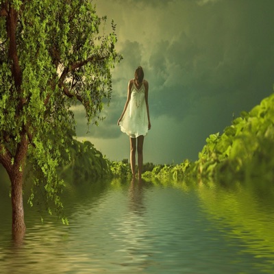 Ella llego solita (feat. Lion la h) - Single