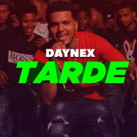 Tarde - Daynezx (Yovng Legendary Pro. By.) (feat. Daynezx) - Single - Arfefn