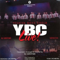 Ybc Live! - The Yeshiva Boys Choir