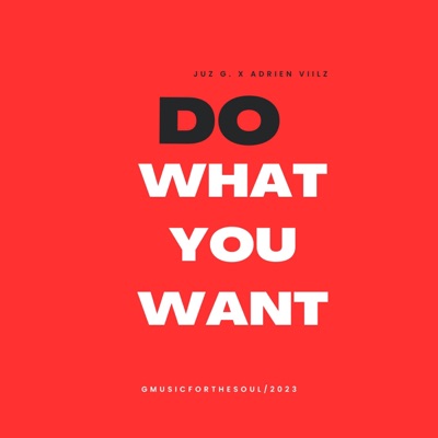 Do What You Want (feat. Adrien Viilz) - Single