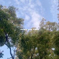 Just Us Two - Single - Distracted & Simone Strauss