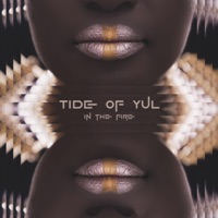In the Fire (feat. Jemaine Roberts) - Single - Tide of Yul